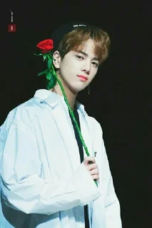 🌹 emoji Younghoon ❁ [ @THE_BOYZ ] Telegram sticker 17 of 34