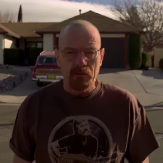 🥸 emoji Walter White Telegram sticker 24 of 49
