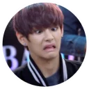 Sticker from Tae Tae (m_mkj)