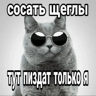 Sticker from семечкаочкрутаядевочка
