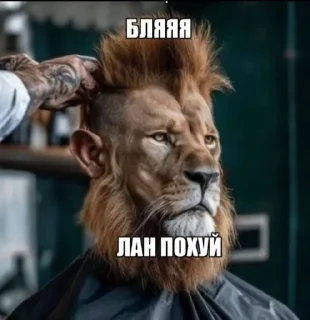 🌟 emoji семечкаочкрутаядевочка Telegram sticker 5 of 50