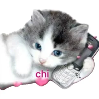 Sticker from kitties in love ::