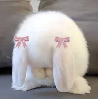 😕 emoji ᗷ🐰𝓝Ｎ𝖸   @Twilightths Telegram sticker 11 of 55