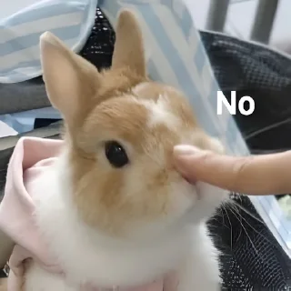 👎 emoji ᗷ🐰𝓝Ｎ𝖸   @Twilightths Telegram sticker 23 of 55