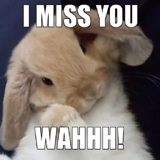 😭 emoji ᗷ🐰𝓝Ｎ𝖸   @Twilightths Telegram sticker 10 of 55
