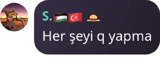 Sticker from S.🇵🇸🇹🇷s kang pack 1