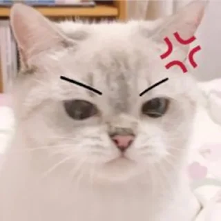 😡 emoji Kitties @MyselfMeandIo Telegram sticker 15 of 50