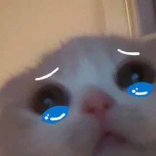 🥺 emoji Kitties @MyselfMeandIo Telegram sticker 11 of 50