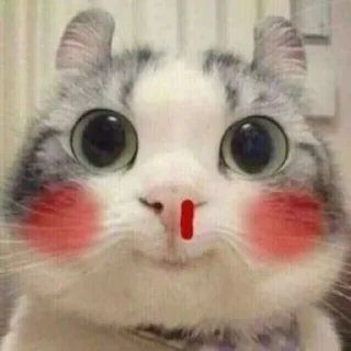 🩸 emoji Kitties @MyselfMeandIo Telegram sticker 6 of 50
