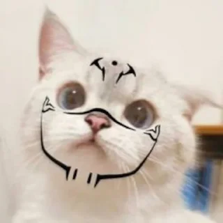 ☝️ emoji Kitties @MyselfMeandIo Telegram sticker 18 of 50