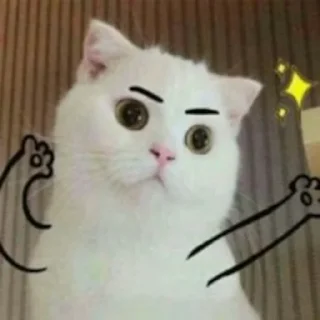 💪 emoji Kitties @MyselfMeandIo Telegram sticker 23 of 50