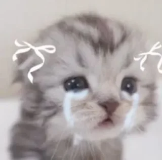 😭 emoji Kitties @MyselfMeandIo Telegram sticker 22 of 50