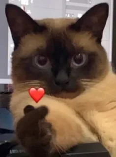 Sticker from Kitties @MyselfMeandIo