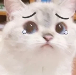 😢 emoji Kitties @MyselfMeandIo Telegram sticker 19 of 50