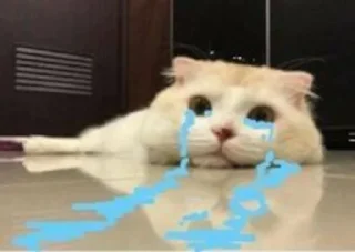 😭 emoji Kitties @MyselfMeandIo Telegram sticker 14 of 50