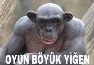 😢 emoji @merthoz @AsenaUserBot Paketi 1 Telegram sticker 8 of 80