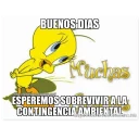 🌅 emoji emPezar el diia cOn eNergiia Telegram sticker 14 of 77
