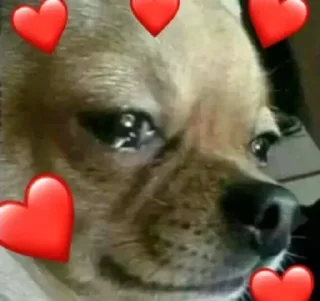 🥺 emoji @betmore Telegram sticker 21 of 83