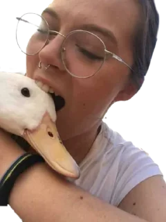 Sticker from Duck