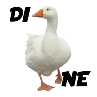 Sticker from Meme - @Gatta_Strafatta