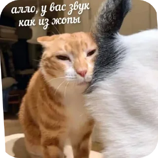 Sticker from Мемы+красота
