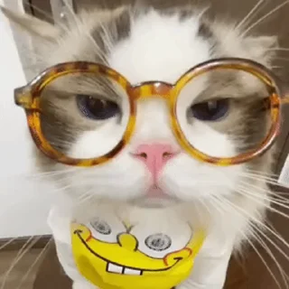 😕 emoji 可爱小咪 Telegram sticker 24 of 32