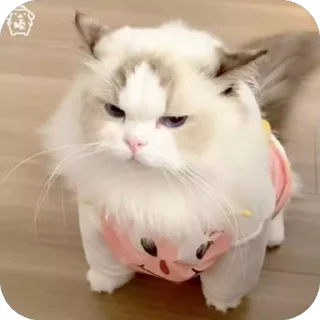 😡 emoji 可爱小咪 Telegram sticker 7 of 32