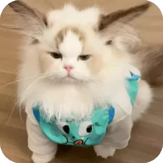 😡 emoji 可爱小咪 Telegram sticker 13 of 32