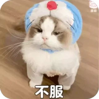 😡 emoji 可爱小咪 Telegram sticker 21 of 32