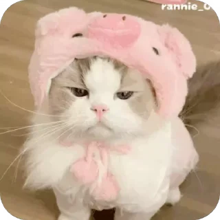 😒 emoji 可爱小咪 Telegram sticker 8 of 32