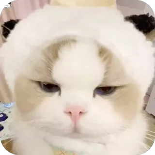 😡 emoji 可爱小咪 Telegram sticker 18 of 32
