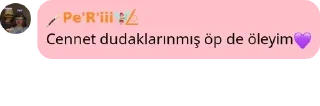 Sticker from ☀️GRUP ÇÎROK ☀️ pack by @QuotLyBot