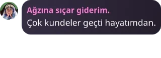 Sticker from ☀️GRUP ÇÎROK ☀️ pack by @QuotLyBot