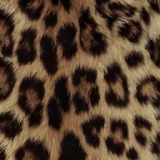 🐆 emoji 𝖫🐆𝖯𝖠𝖱𝖣  @Twilightths  𝖦𝖨ℛ𝖫 Telegram sticker 11 of 35