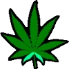 🥦 emoji http://t.me/addemoji/t_me_Sana Telegram sticker 13 of 200