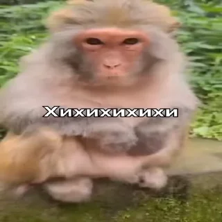 Sticker from Бибизяний клуб :: @gptVPNrbot