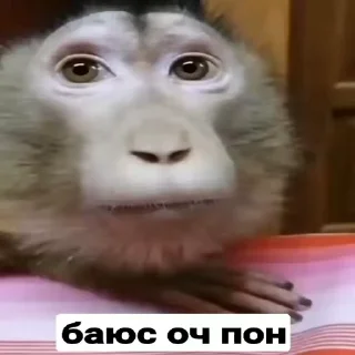 Sticker from Бибизяний клуб :: @gptVPNrbot