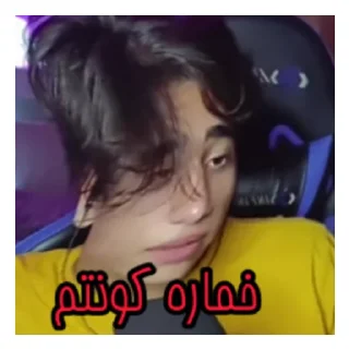 Sticker from ممد حق گو