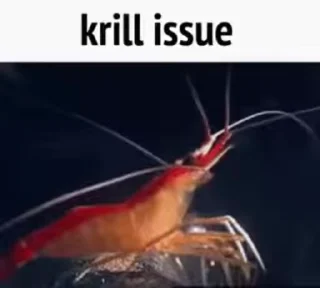Sticker from As Shrimple As That