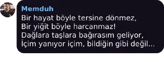 🌟 emoji @sonb1rdefa @AsenaUserBot Paketi 1 Telegram sticker 10 of 119