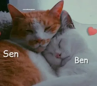🌟 emoji @sonb1rdefa @AsenaUserBot Paketi 1 Telegram sticker 2 of 119