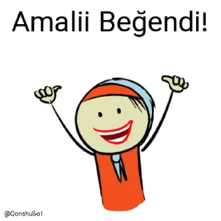 👍 emoji Amalii @Qonshubot Telegram sticker 20 of 31