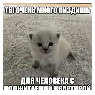🐱 emoji Хрень на все случаи жизни (почти)  2 Telegram sticker 10 of 120