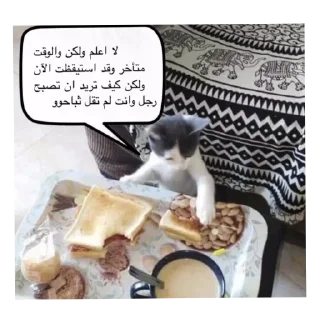 Sticker from Cat'sهواجيس @Touyx