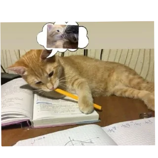 Sticker from Cat'sهواجيس @Touyx