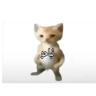 Sticker from Cat'sهواجيس @Touyx
