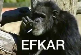 🦍 emoji @burakadmins @AsenaUserBot Paketi 3 Telegram sticker 17 of 120