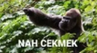 🤔 emoji @burakadmins @AsenaUserBot Paketi 3 Telegram sticker 11 of 120