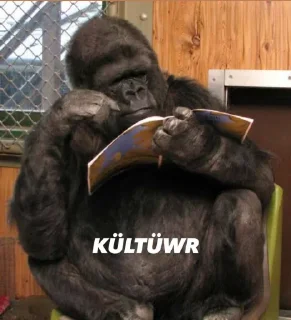 🦍 emoji @burakadmins @AsenaUserBot Paketi 3 Telegram sticker 23 of 120