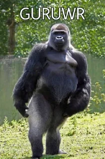 🦍 emoji @burakadmins @AsenaUserBot Paketi 3 Telegram sticker 24 of 120